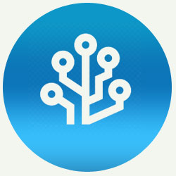 branches