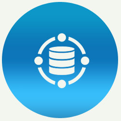data-icon